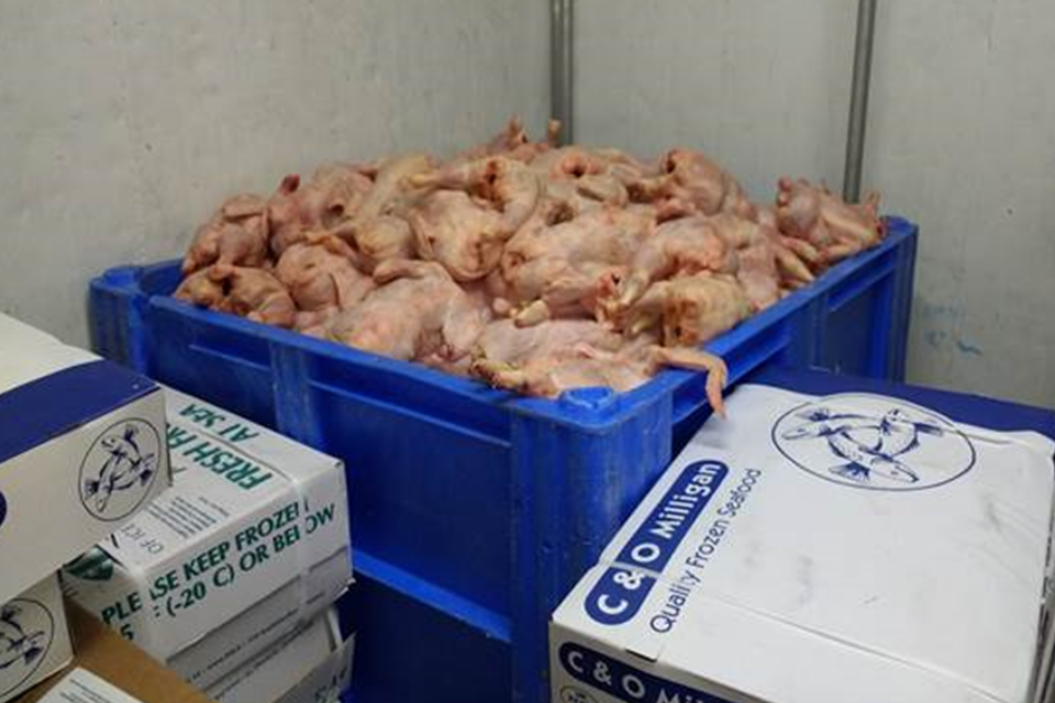 Chicken
