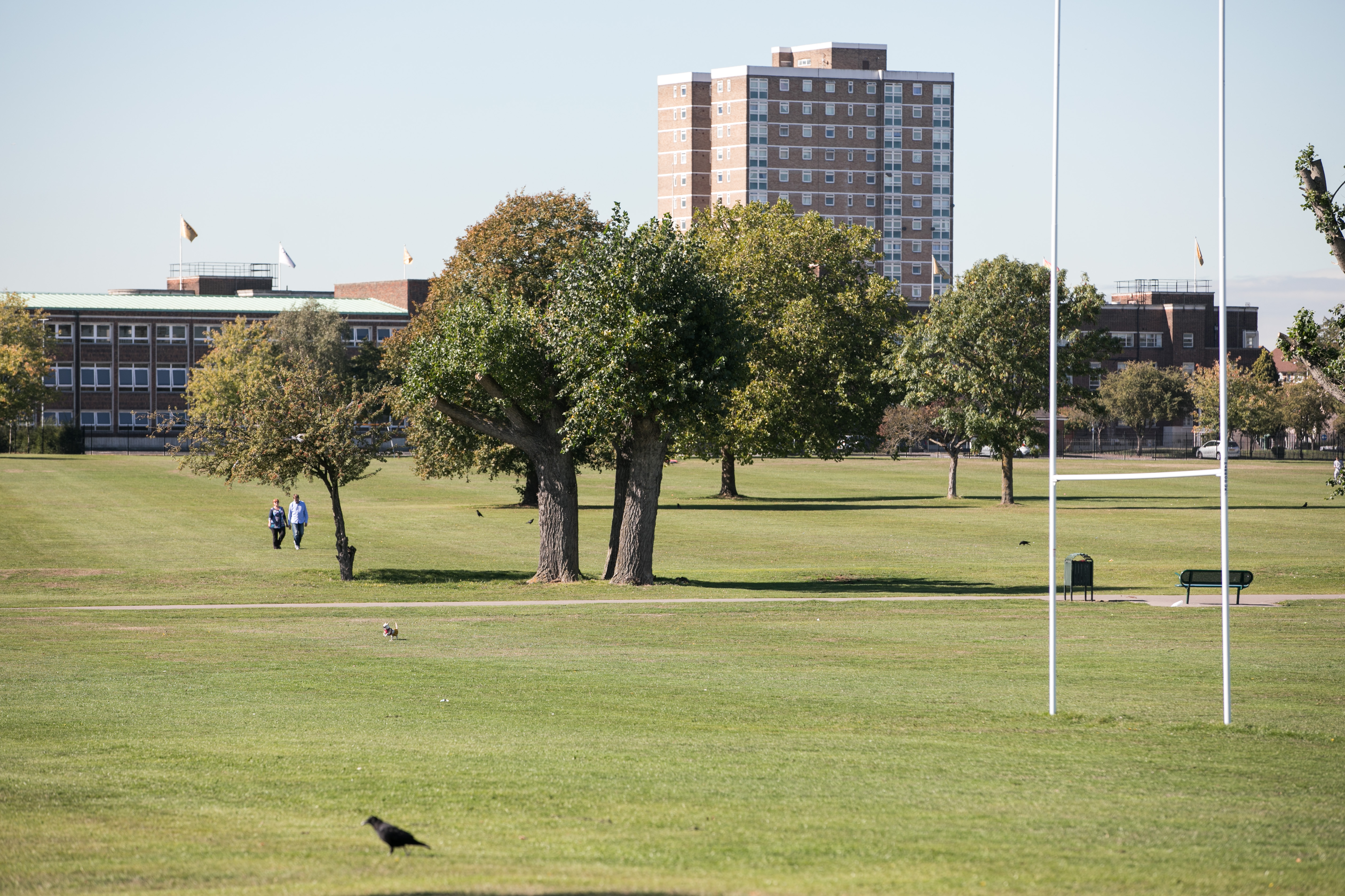 Central Park