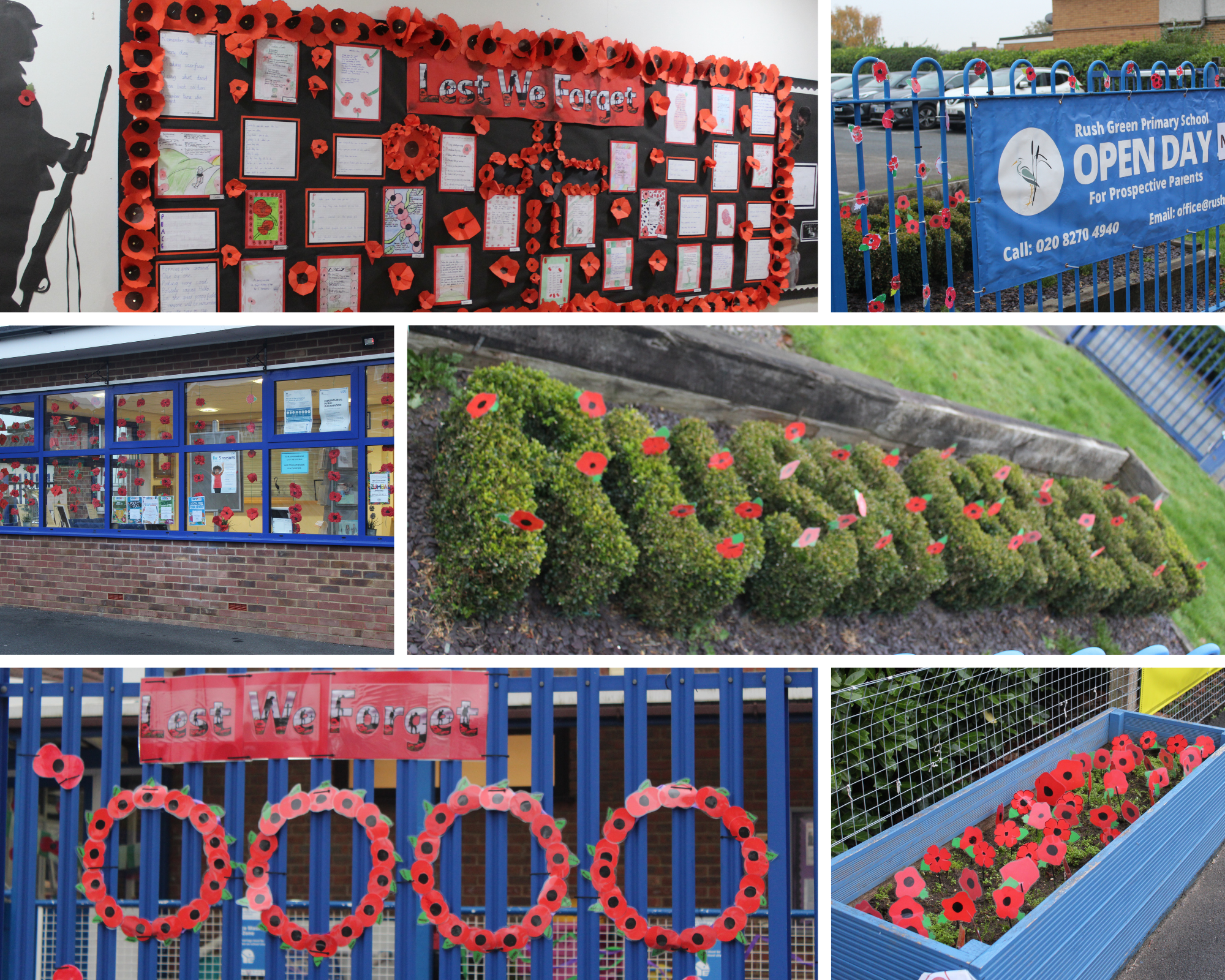 poppies displayed around Rush Green Primary School