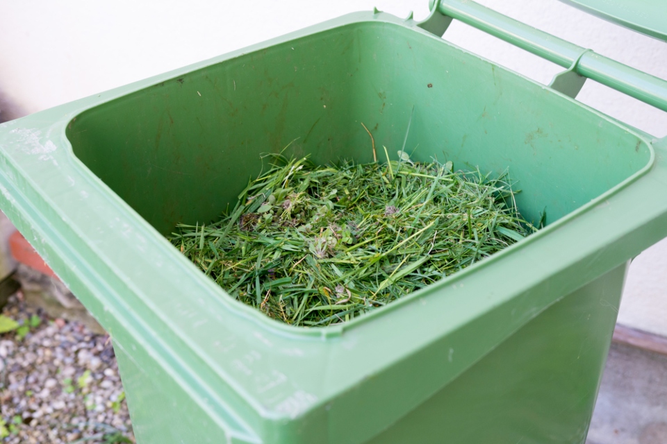 green garden bin with garden waste inside