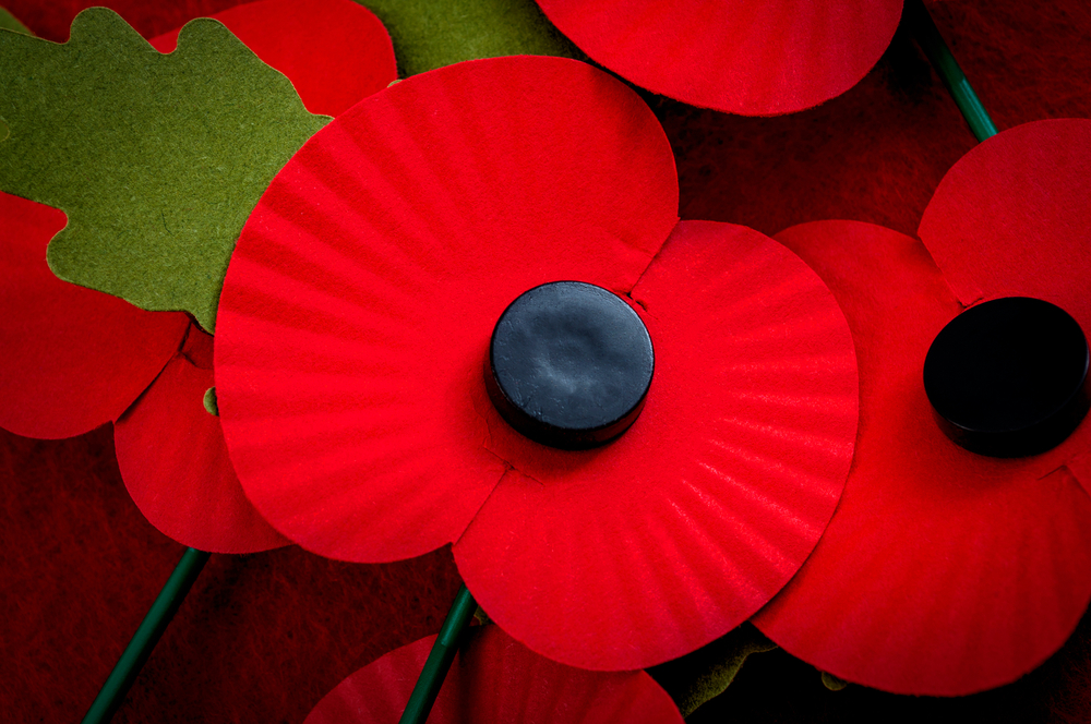 Remembrance Day