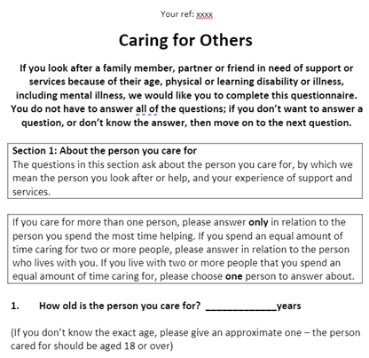 Screenshot from the carer's survey