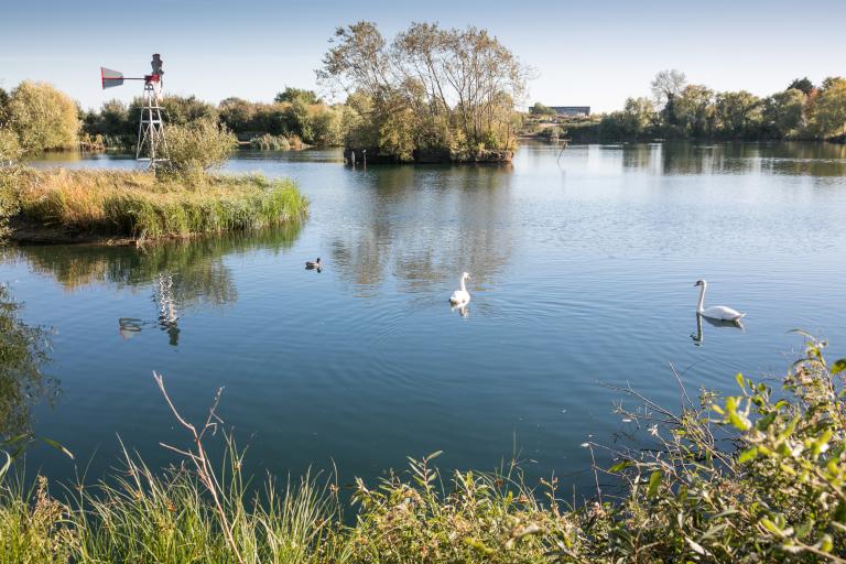 Photo of Eastbrookend Country Park lake with three ducks swimming in it