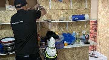 Seized cigarettes