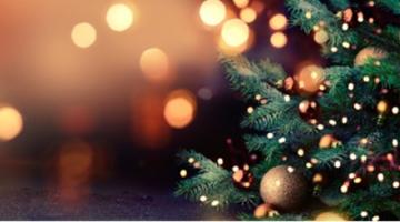 Christmas tree and lights 