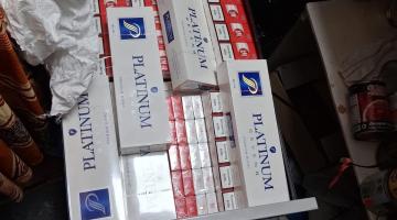 Seized cigarettes