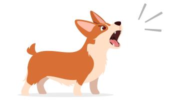 Barking dog