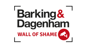 The Wall of Shame logo