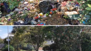 Fly tip - before and after