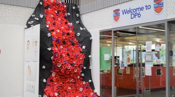 image of poppies display outside school