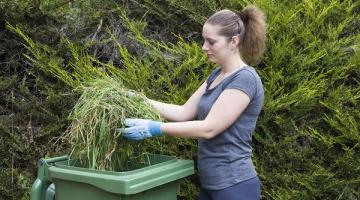 Green Garden Waste popularity soars this summer