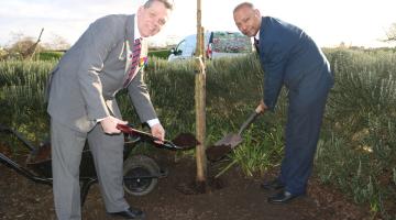 Tree planting in Barking Park