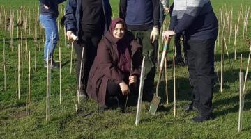 Forest of thanks planting session