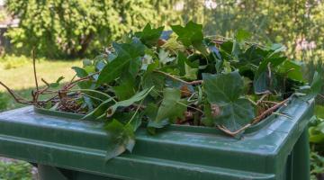 You can now subscribe to the Green Garden Waste collection service for 2021
