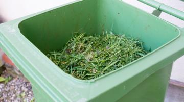 green garden bin with garden waste inside