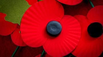 Remembrance Day