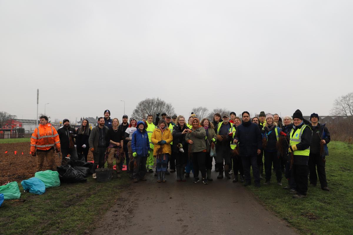 Barking and Dagenham Council’s £180,000 Miyawaki tree planting gets the ...