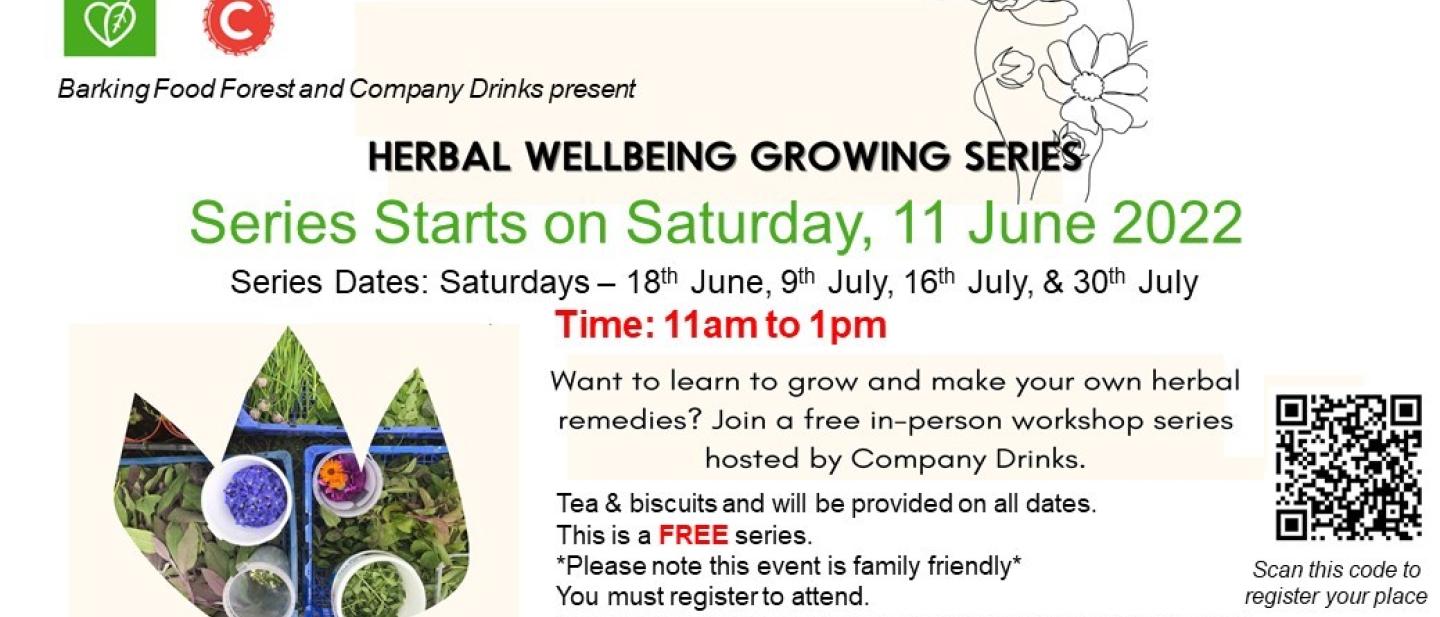 Herbal Wellbeing Growing Series