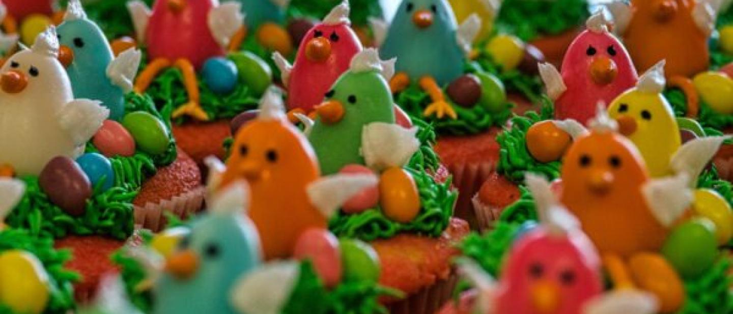 Close up of a group of Easter-themed cupcake top frostings shaped as colourful chicks.