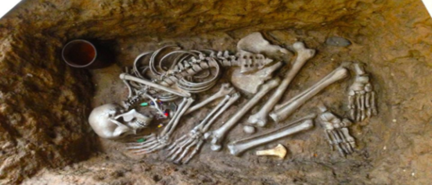 Image of a skeleton in a grave as part of an archaeological dig. 