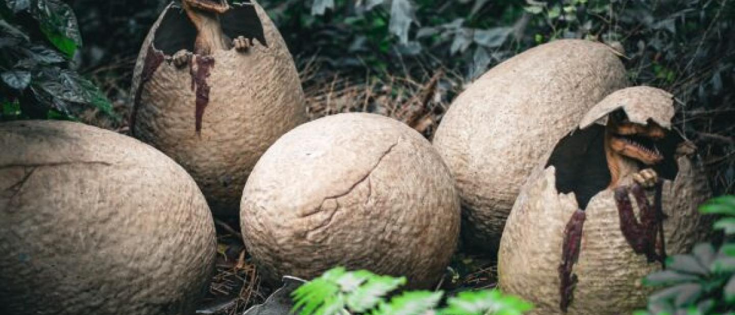 Image of dinosaurs hatching out of eggs