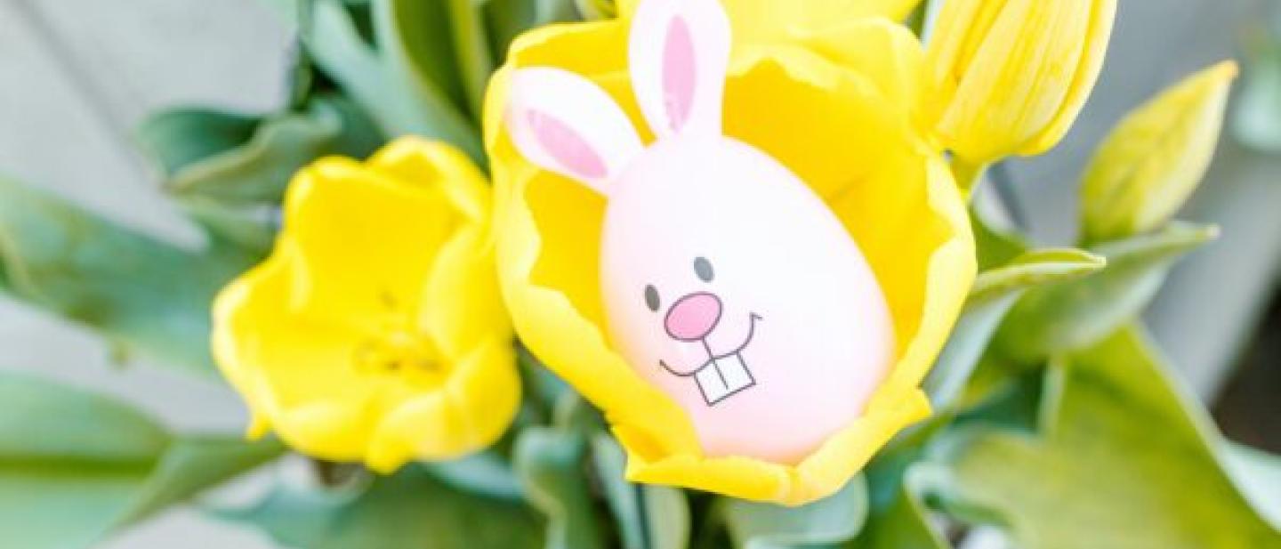 Photo of a egg with rabbit face hiding in a flower
