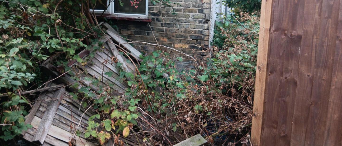 Messy garden