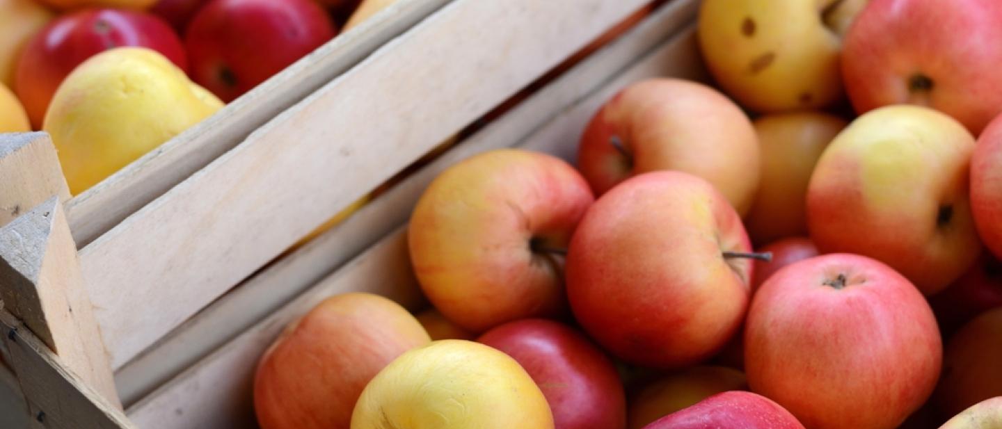 Close up on boxes filled with apples