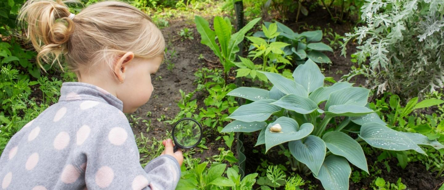 Toddler looking at insect on a leaf