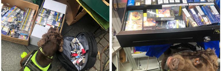 Cigarettes and vapes seized