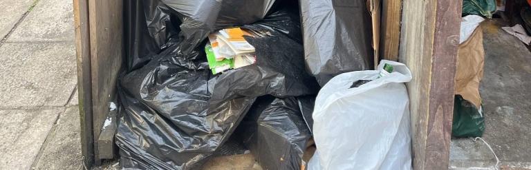 Eastern Paradise waste