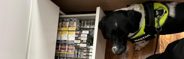 Cigarette seizure