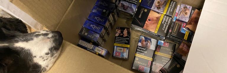 Illicit tobacco with sniffer dog