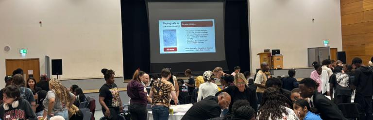 Youth Safety Summit