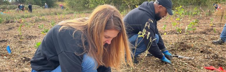Tree planting volunteers 