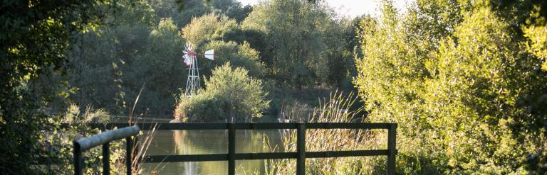 View of a lake in Chase Nature Reserve, the fences of the edges of the lake are surrounded by lush green nature