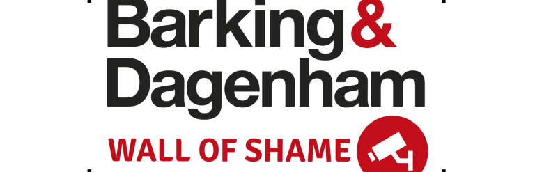 The Wall of Shame logo