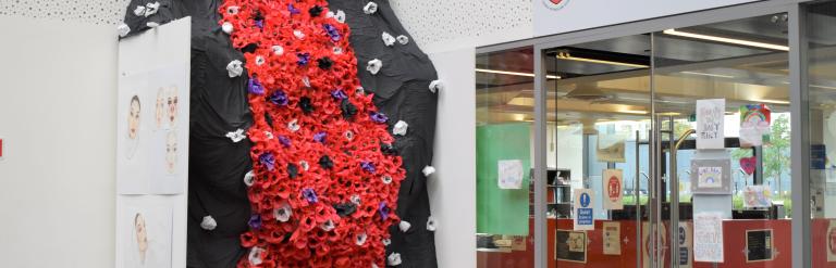 image of poppies display outside school