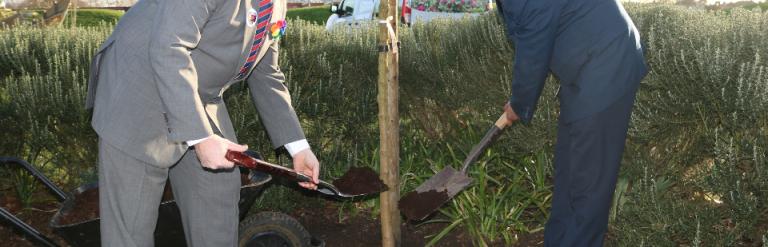 Tree planting in Barking Park