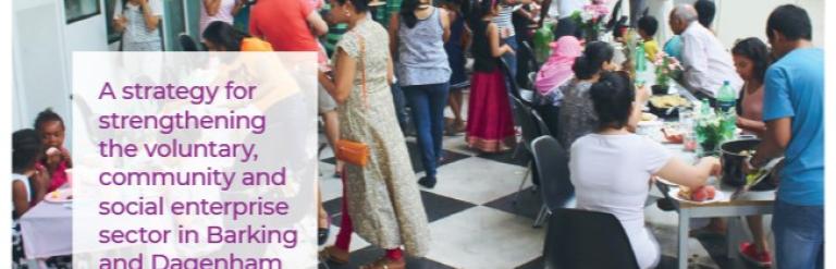 Strengthening the voluntary, community and social enterprise sector