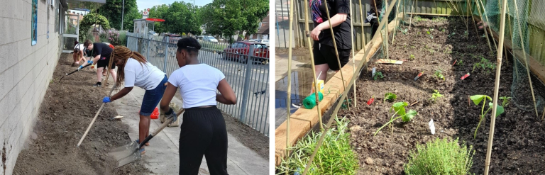 young people gardening