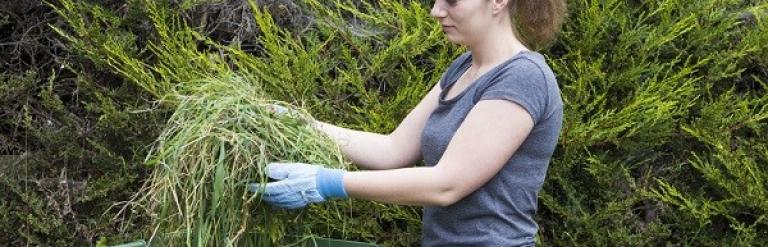 Green Garden Waste