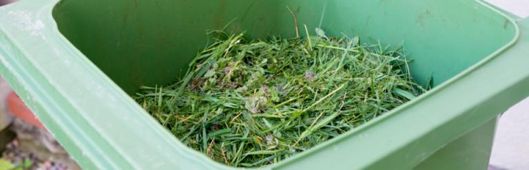 green garden bin with garden waste inside