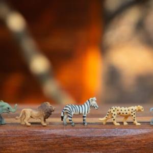 Image of 5 toy animals in a line on a table top