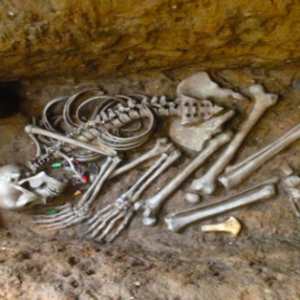 Image of a skeleton in a grave as part of an archaeological dig. 