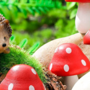 Image of a hedgehog and toadstools