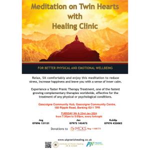 Meditation on Twin Hearts - Gascoigne Community Hub