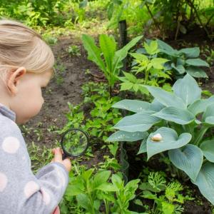 Toddler looking at insect on a leaf